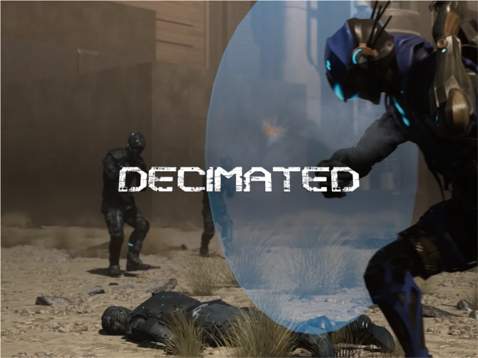 decimated-image